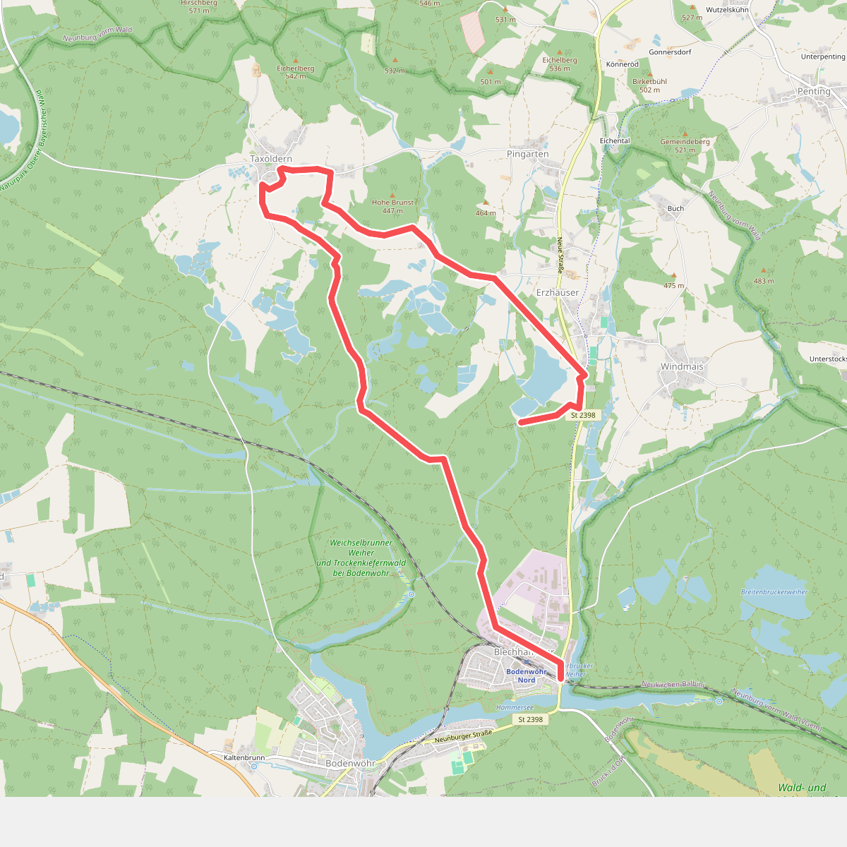 Wilder Mann 013 »Taxölderner Weg«, Naturpark Vorderer Bayerischer Wald