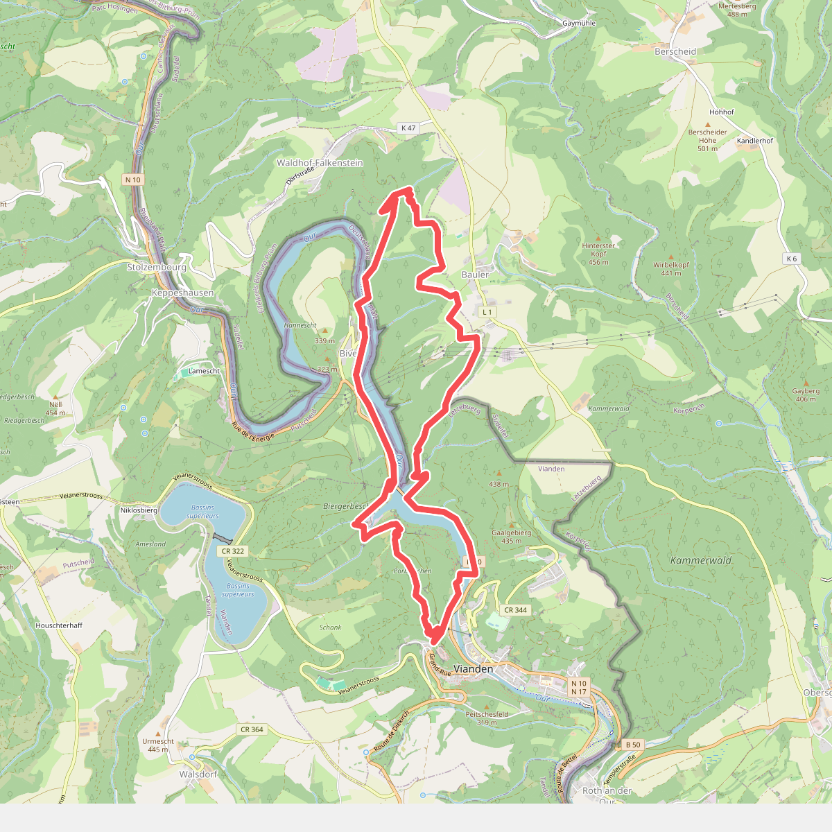 Nat'Our Route 5: Vianden - Falkenstein