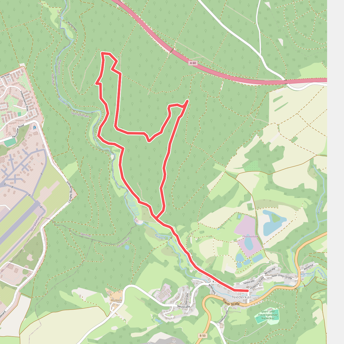 Landscheid 9