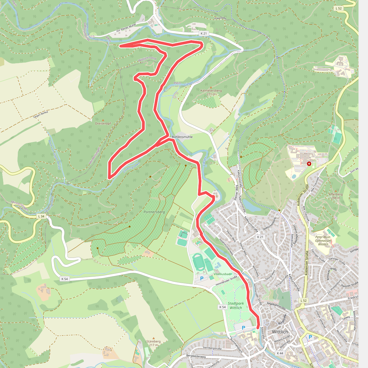 Wittlich 10