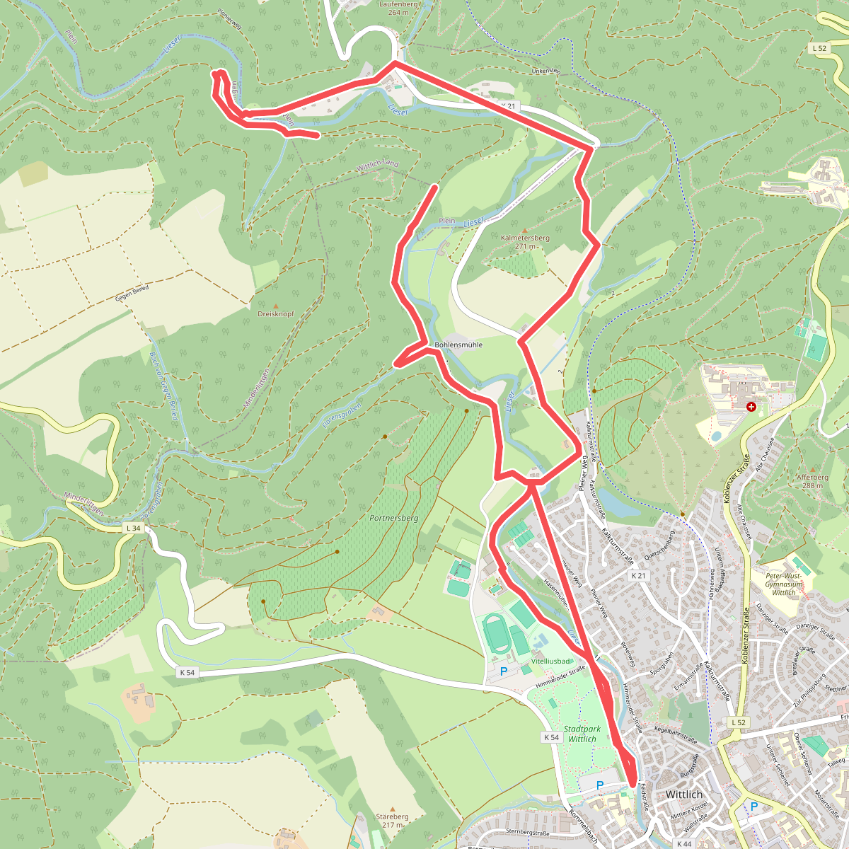 Wittlich 11