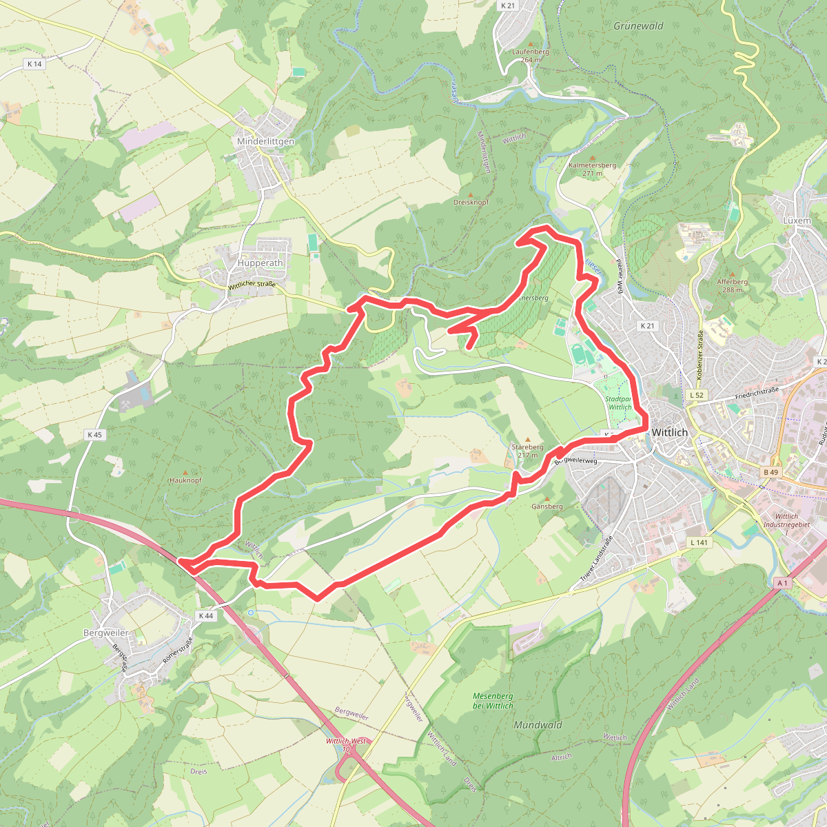 Wittlich 8