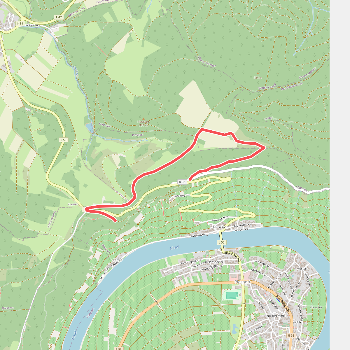 Piesporter Berg