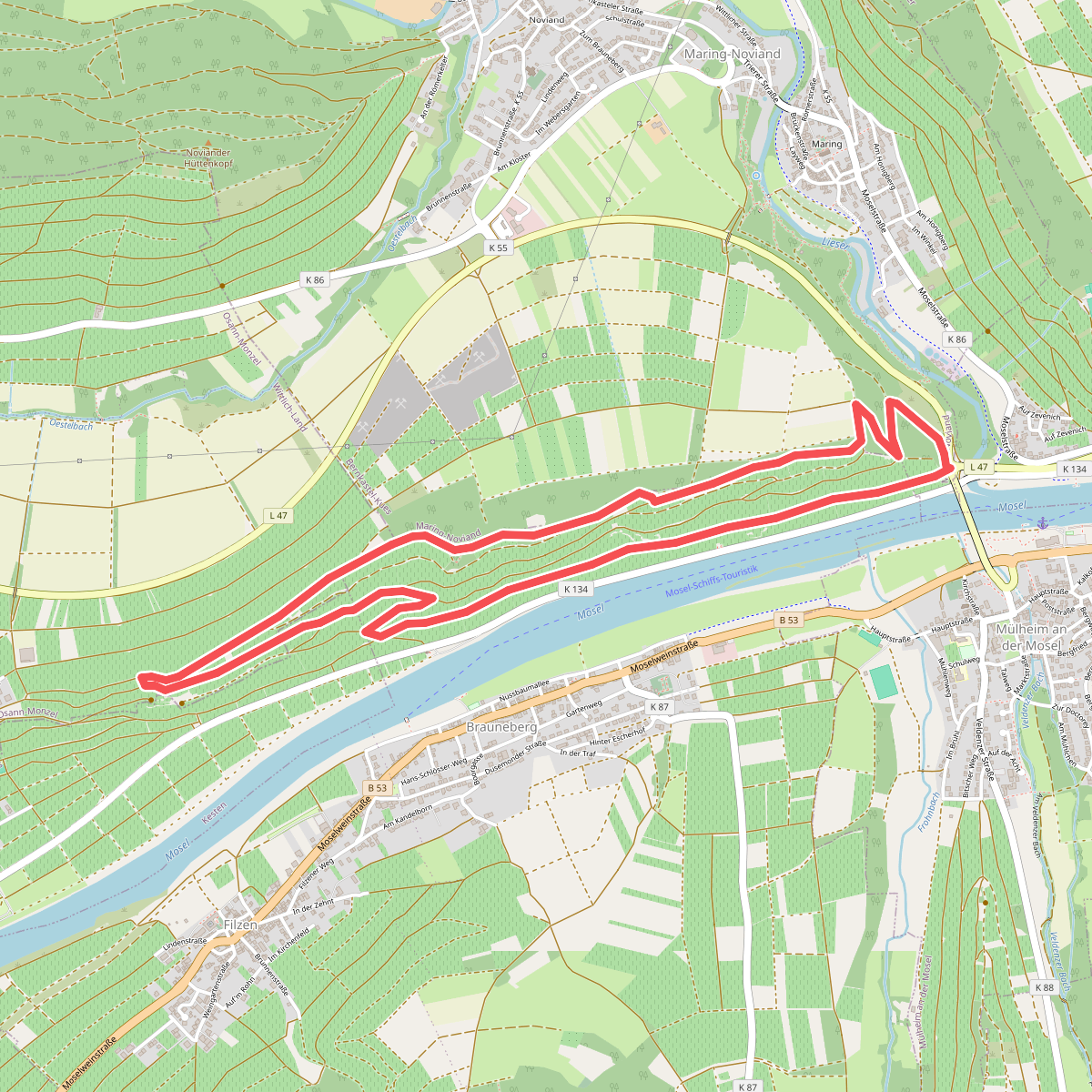Rundwanderweg Brauneberg : Jufferweg
