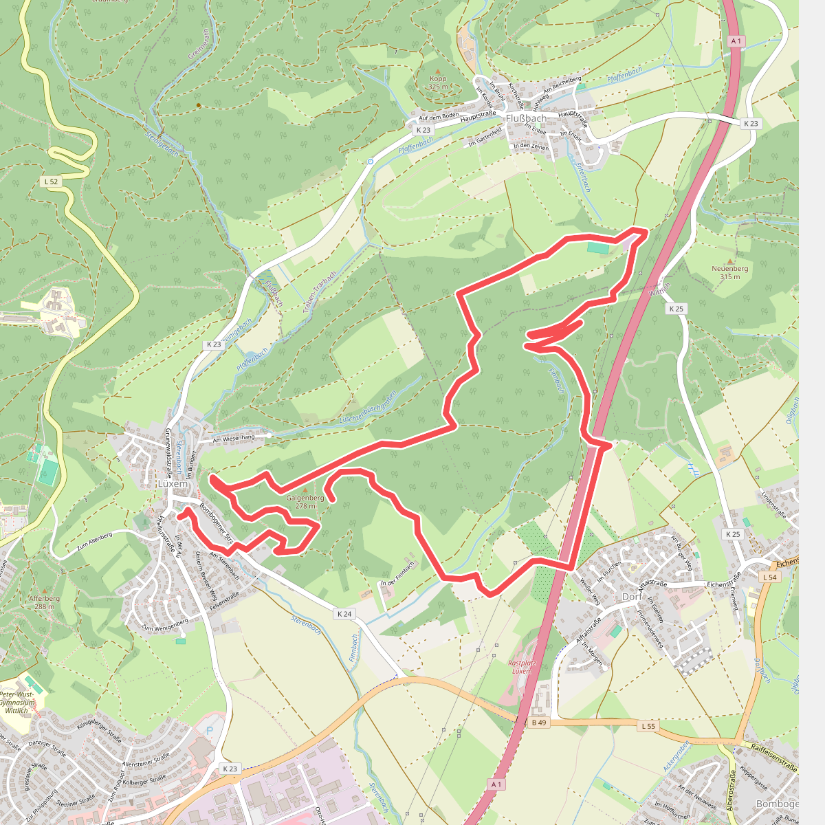 Wittlich 4