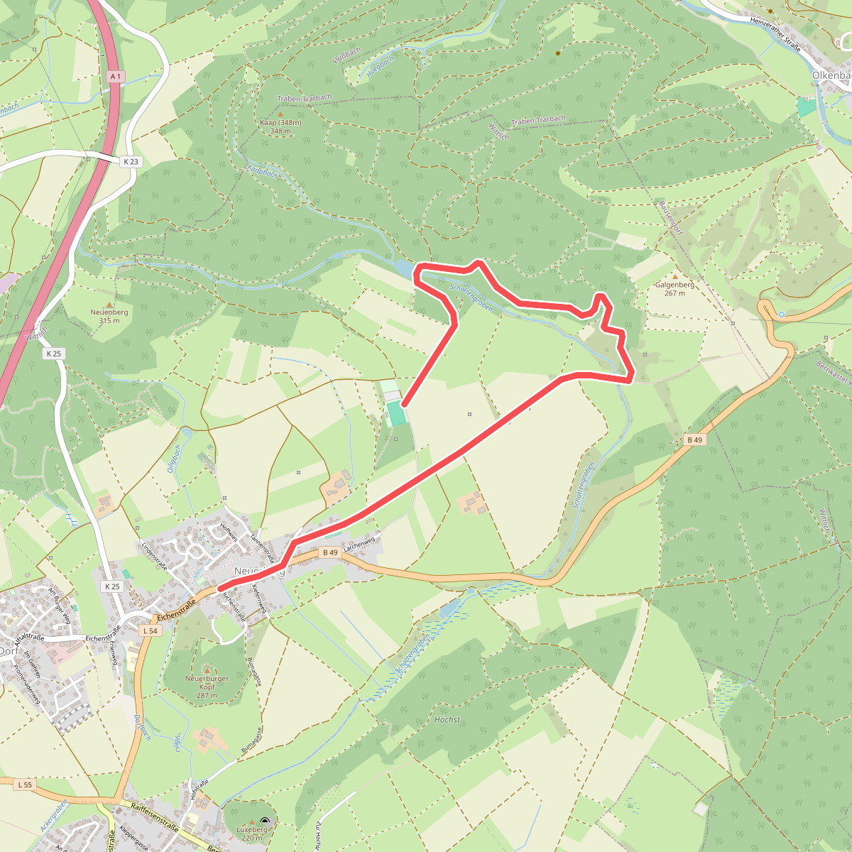 Wittlich 5