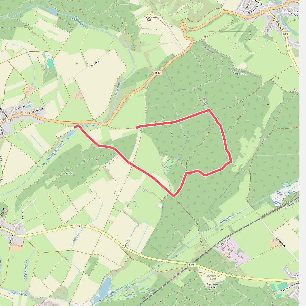 Wittlich 7
