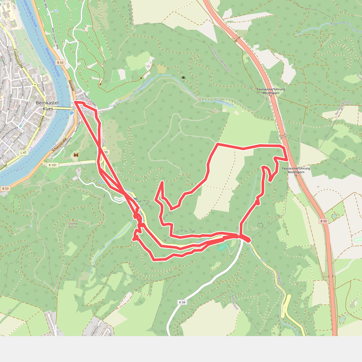 Bernkasteler Schweiz