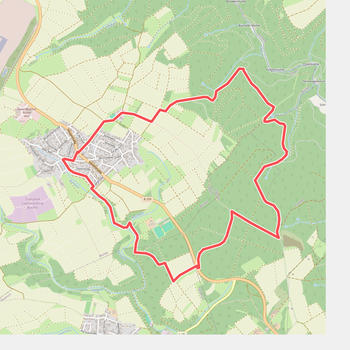 Bücheler Wanderweg 6