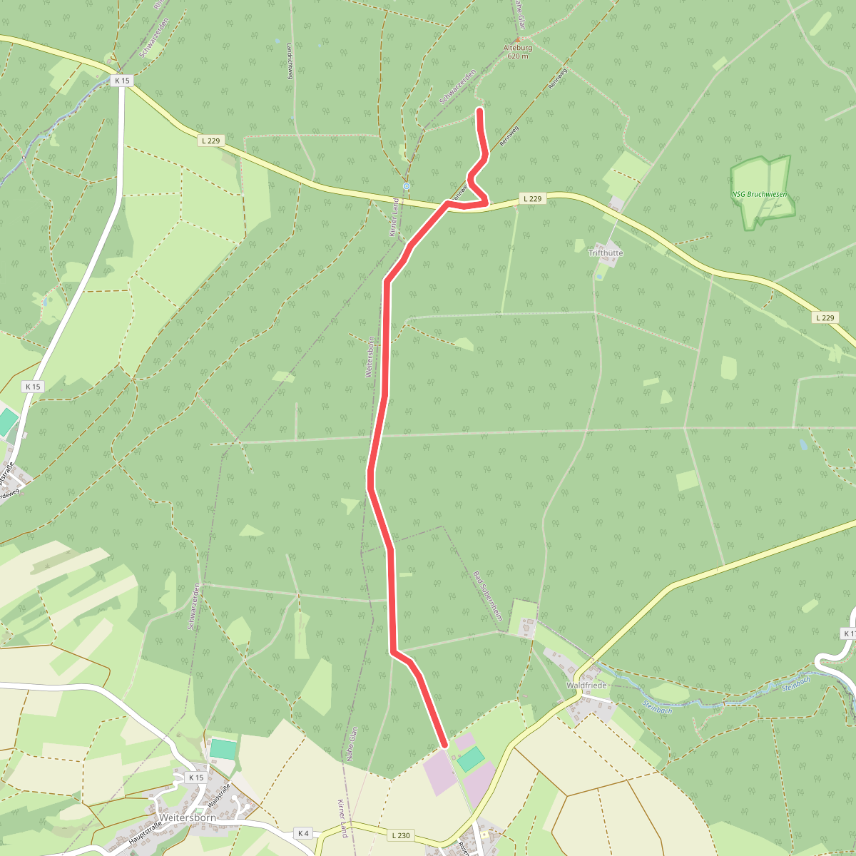 Soonwaldsteig - Zuweg_Seesbach 1