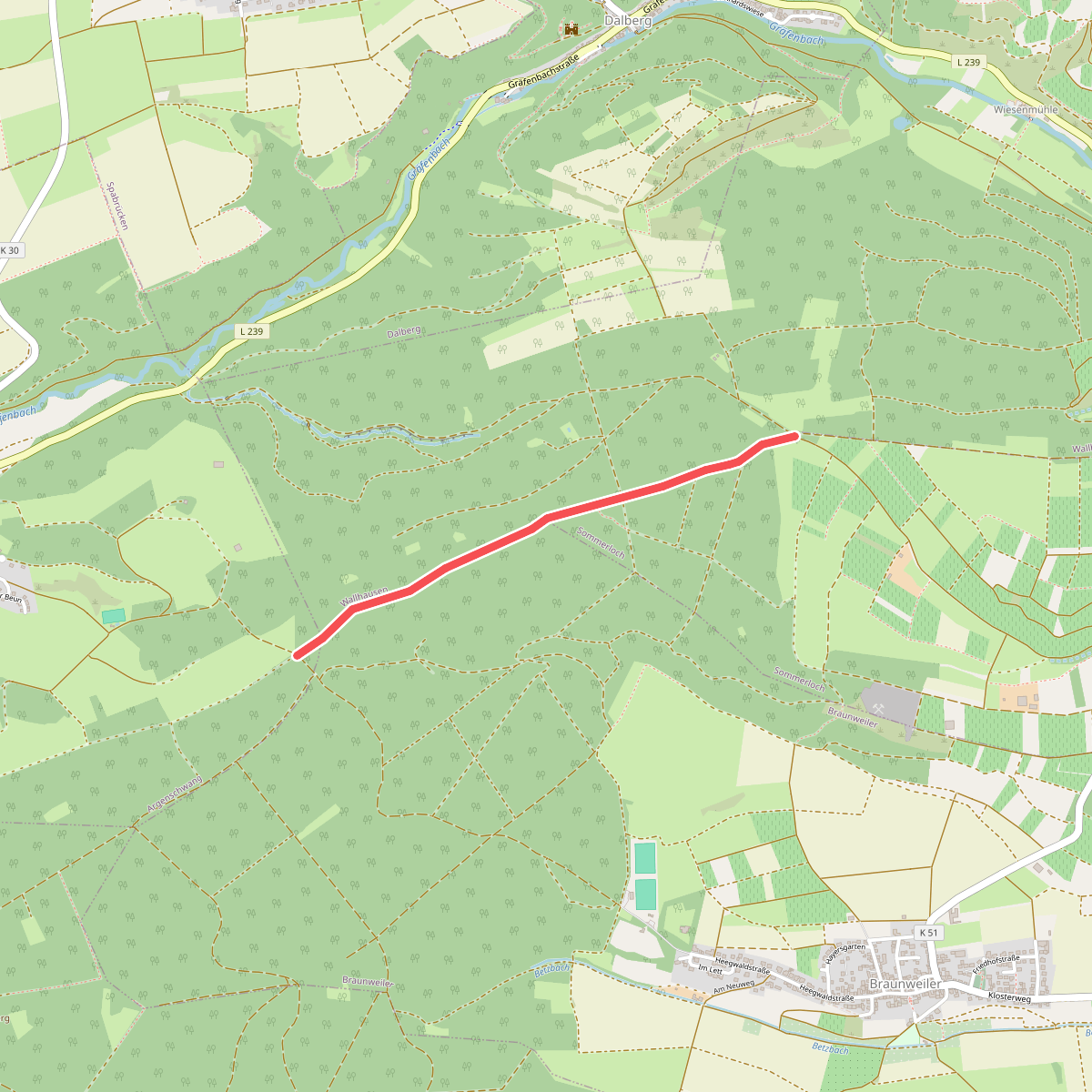 Argenschwanger Rosenburgweg - Sommerlocher Weg