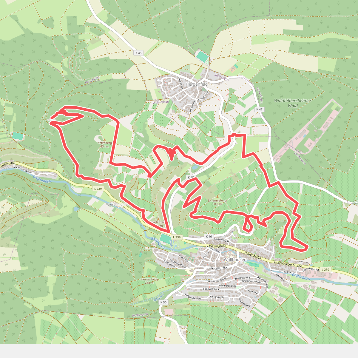 VitalTour: Stein, Wein & Farbe