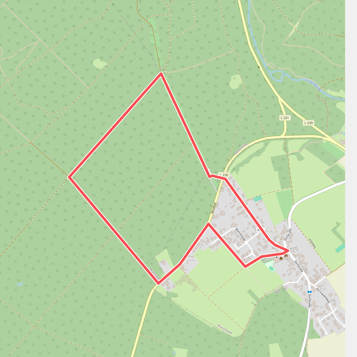 Münchwald Rundwanderweg Grün