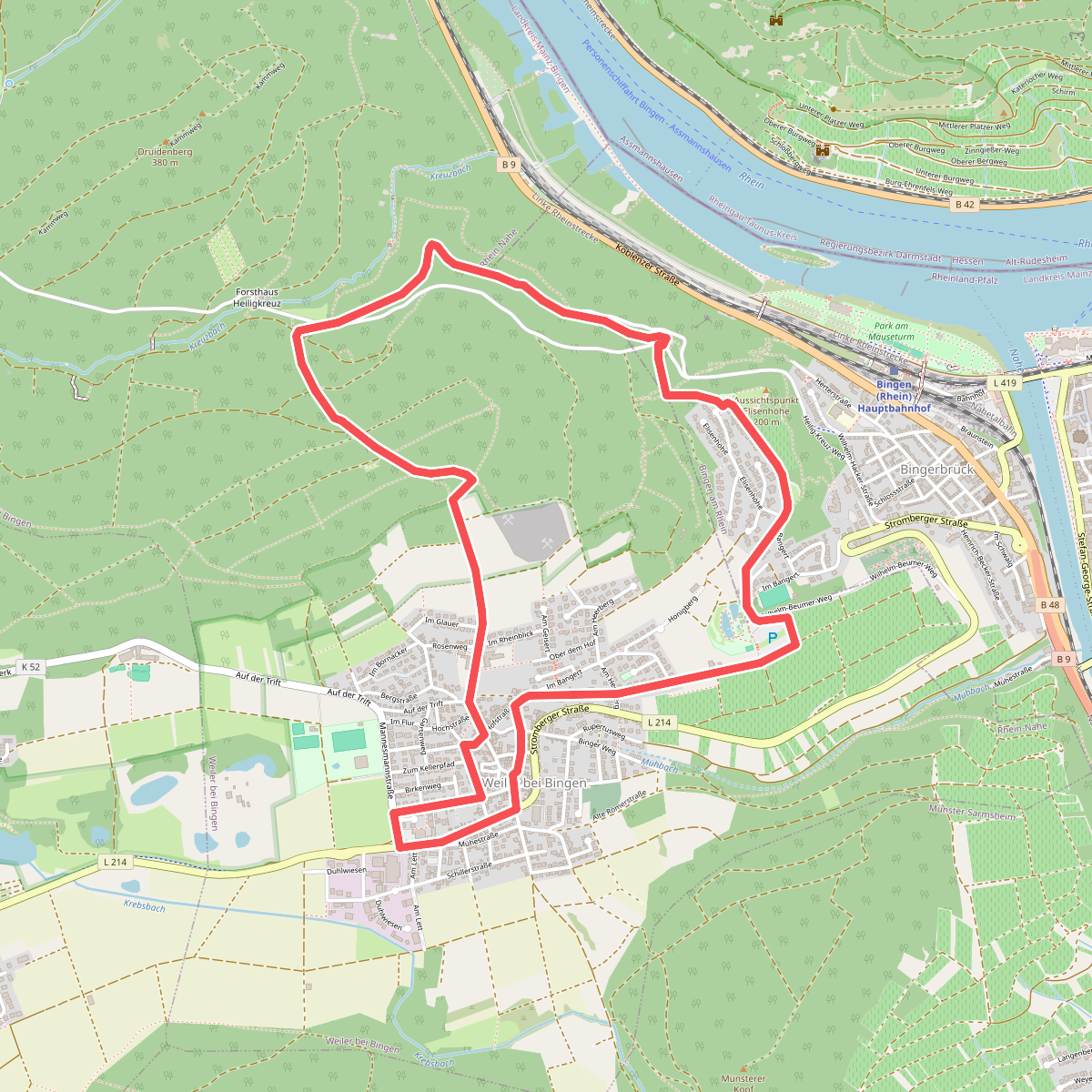 DVV Binger Wald Römervilla Rheinblick 7