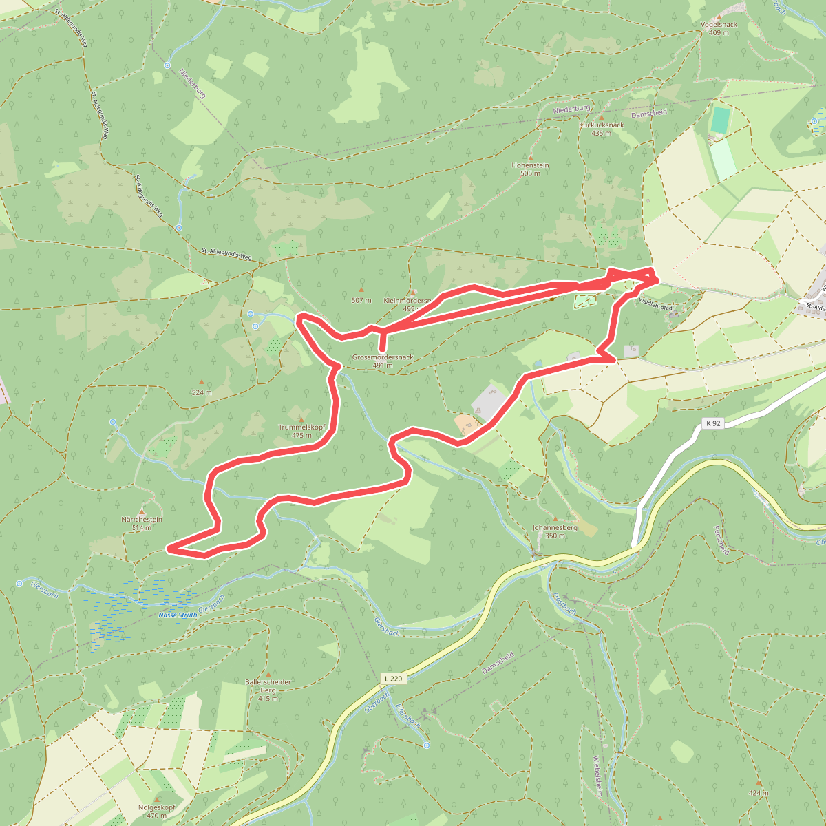 Damscheid Rundweg Fichte