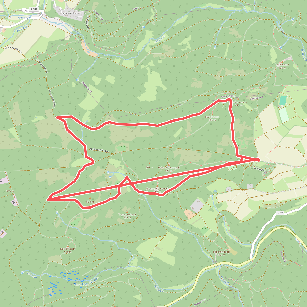 Hochwaldwanderweg Damscheid