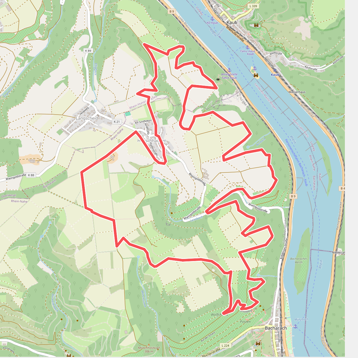 Rheinblickschleife (Hahn, blauer Pfeil)