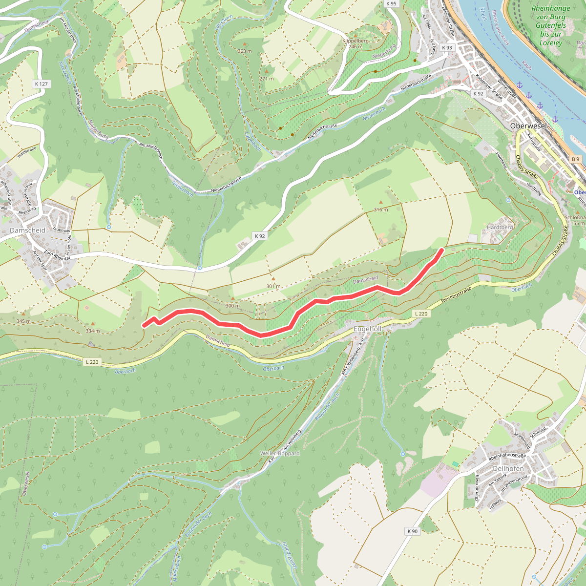 Wanderweg grüner Punkt