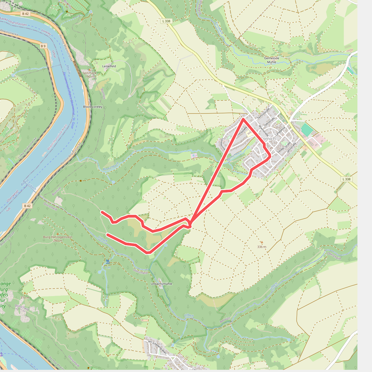 Rheinsteig-Zuweg Bornich