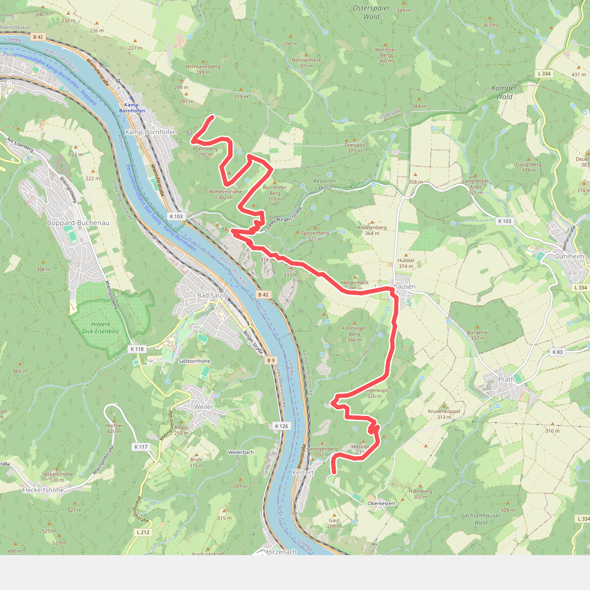Rheinsteig Etappe 13 [Kamp-Bornhofen - Kestert]
