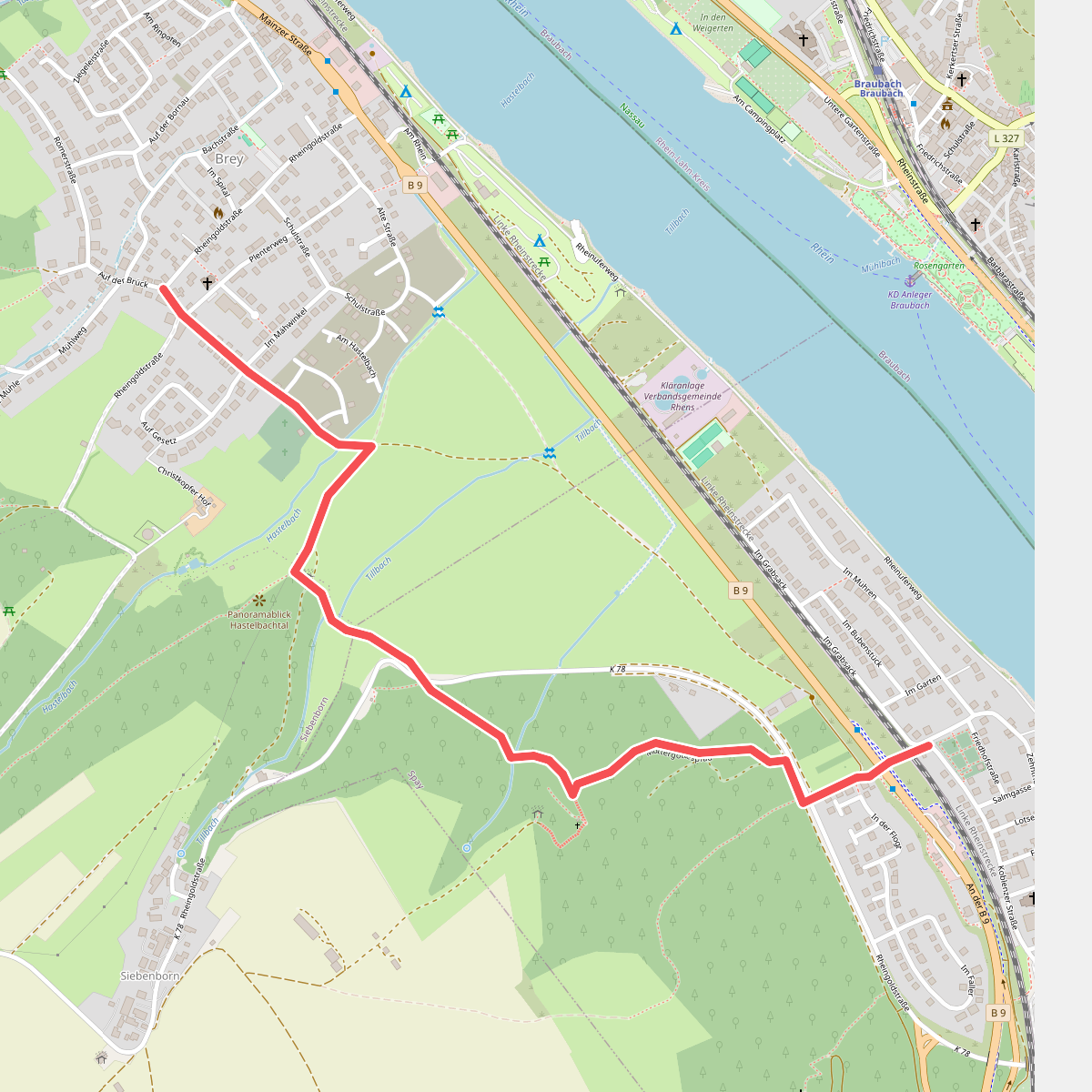 Rheinburgenweg Zugangsweg Spay