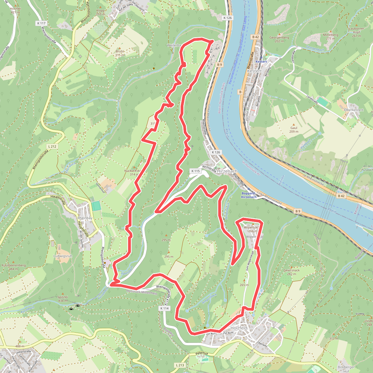 Traumschleife Rheingold
