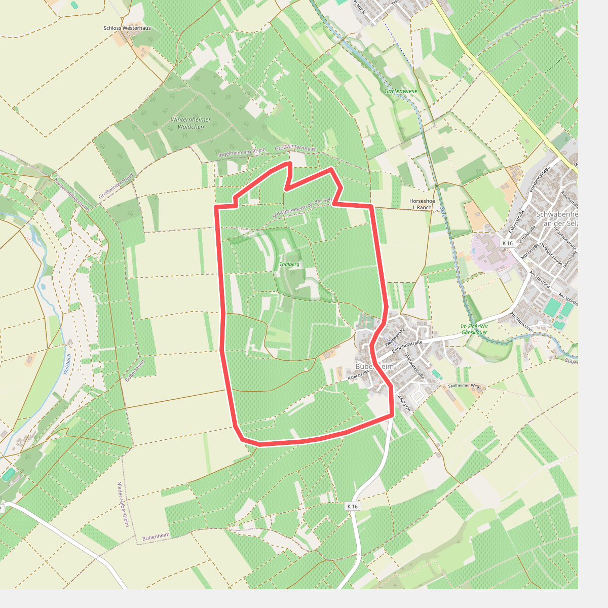 Bubenheim: Großer Rundweg