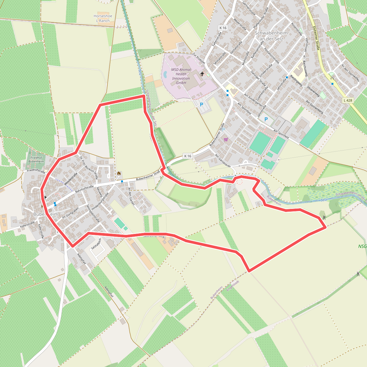 Bubenheim: Selzwanderweg