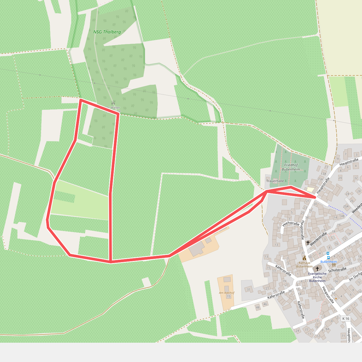 Bubenheim: Weinwanderweg