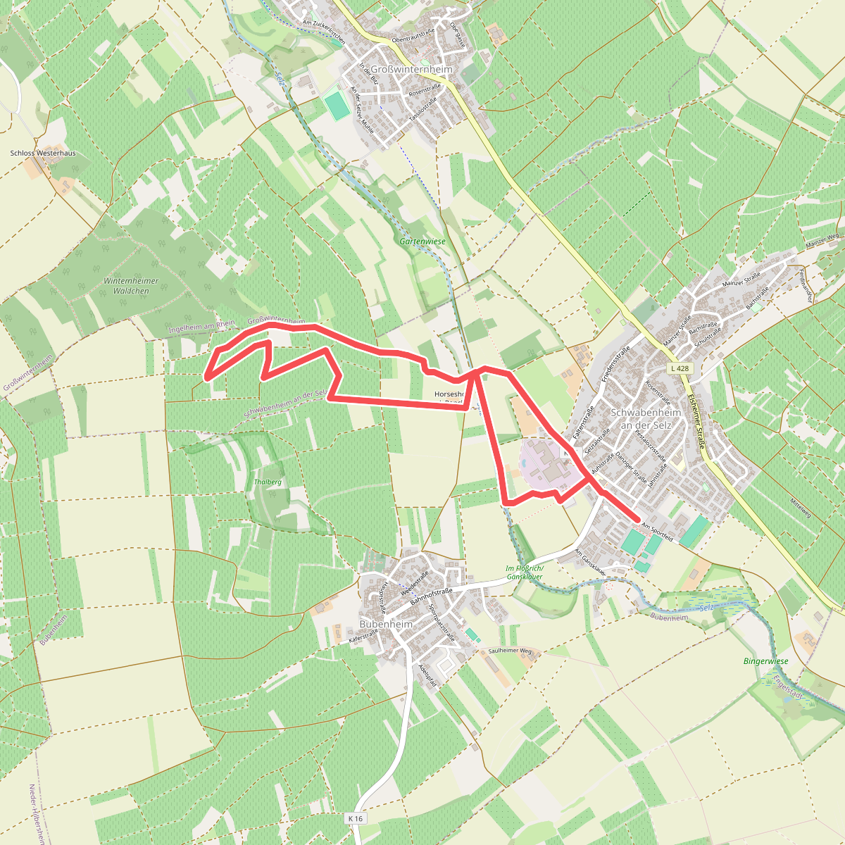 Schwabenheim: 4 Schloßberg