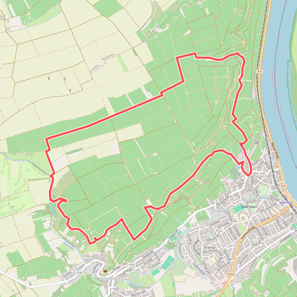 NIE2