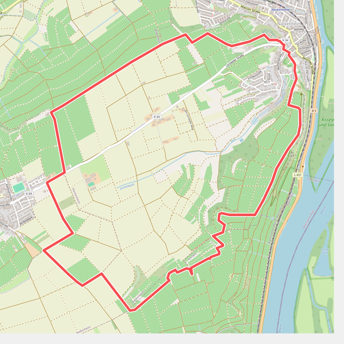 Panoramarunde im fröhlichen Weinberg Nackenheim