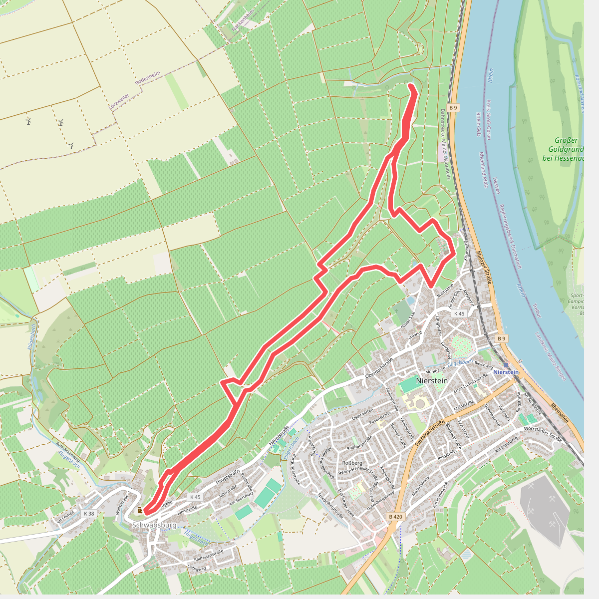 Weinerlebnis Roter Hang - Wandern zwischen Himmel und Rhein