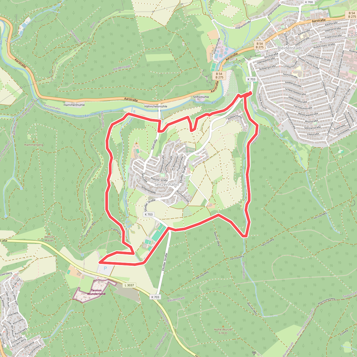 Schwarzer Hahn