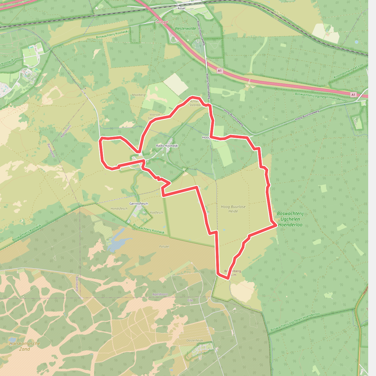 Wandelroute Heidewandeling