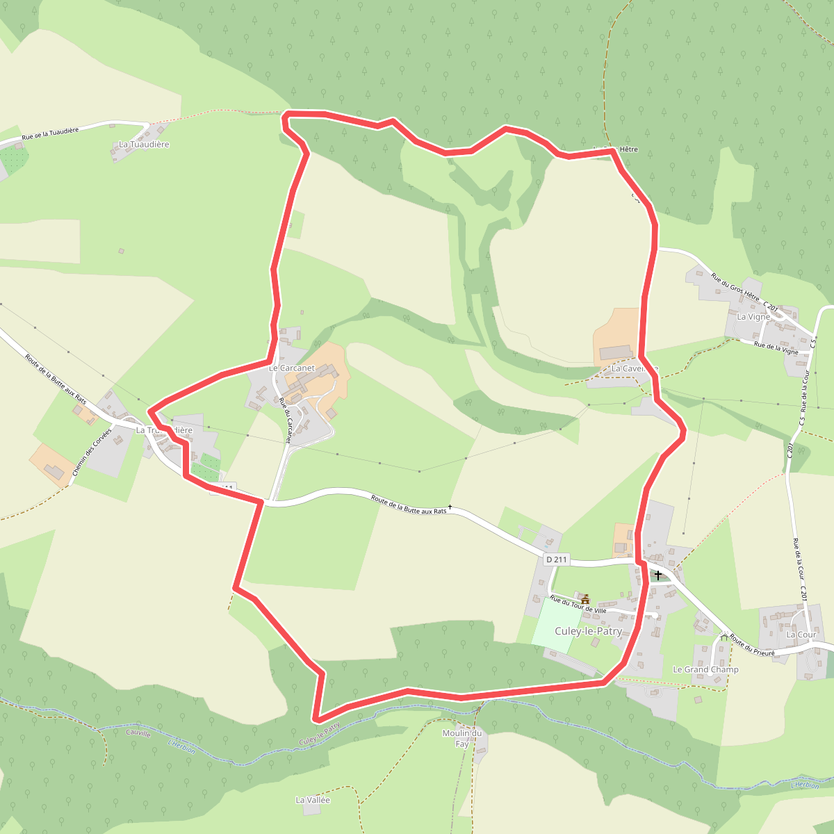 Le Gros Hêtre