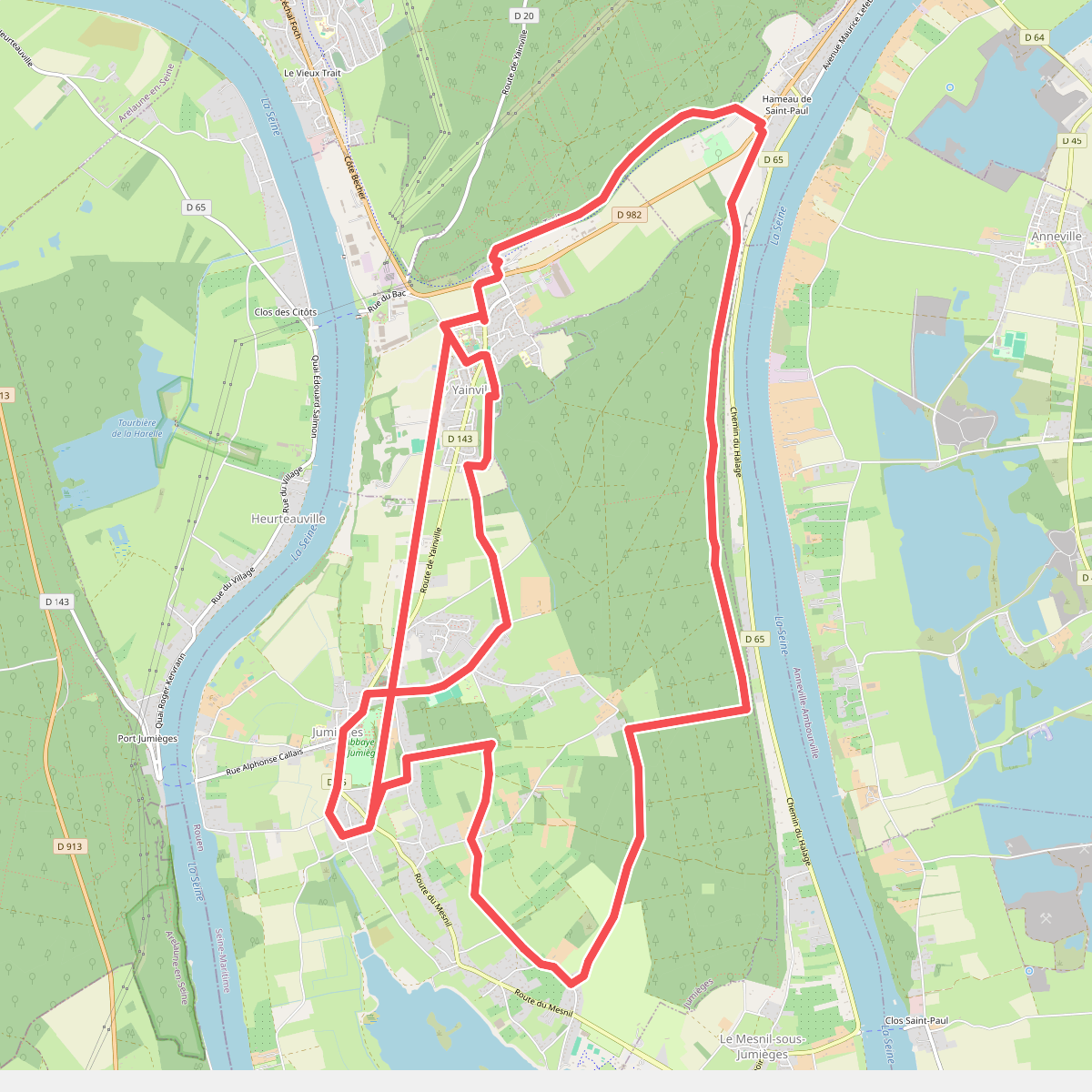 La Forêt de Jumièges
