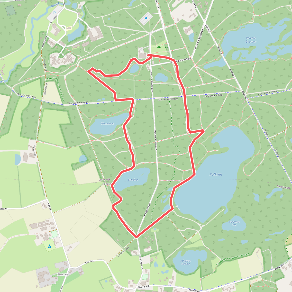Wandelroute Kolkven in de Oisterwijkse bossen