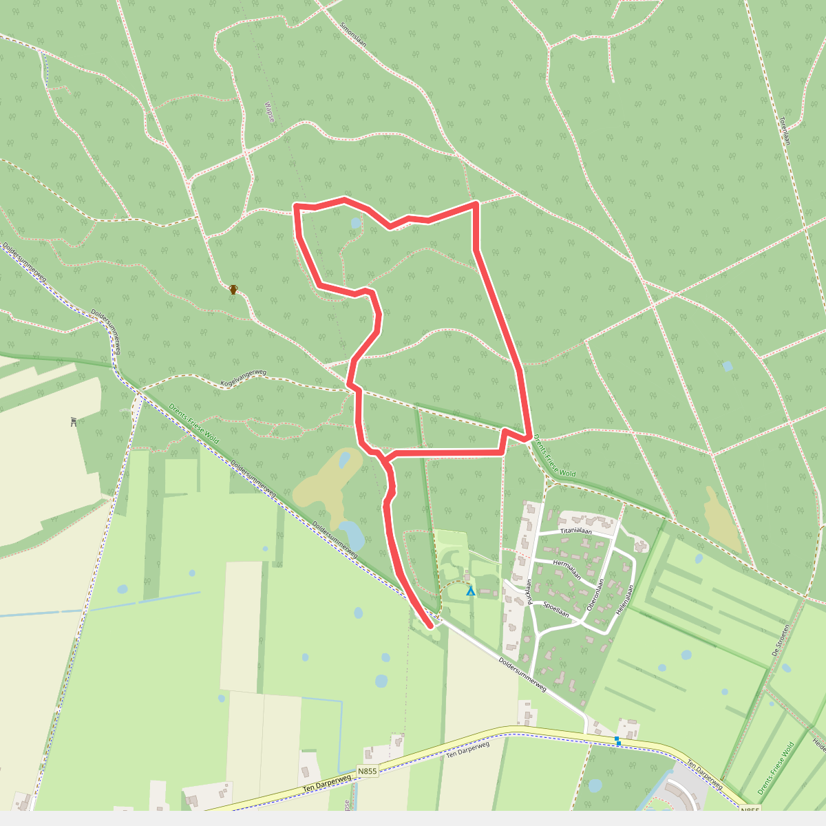 Wandelroute Berkenheuvel, Drents-Friese Wold, vlakbij Diever