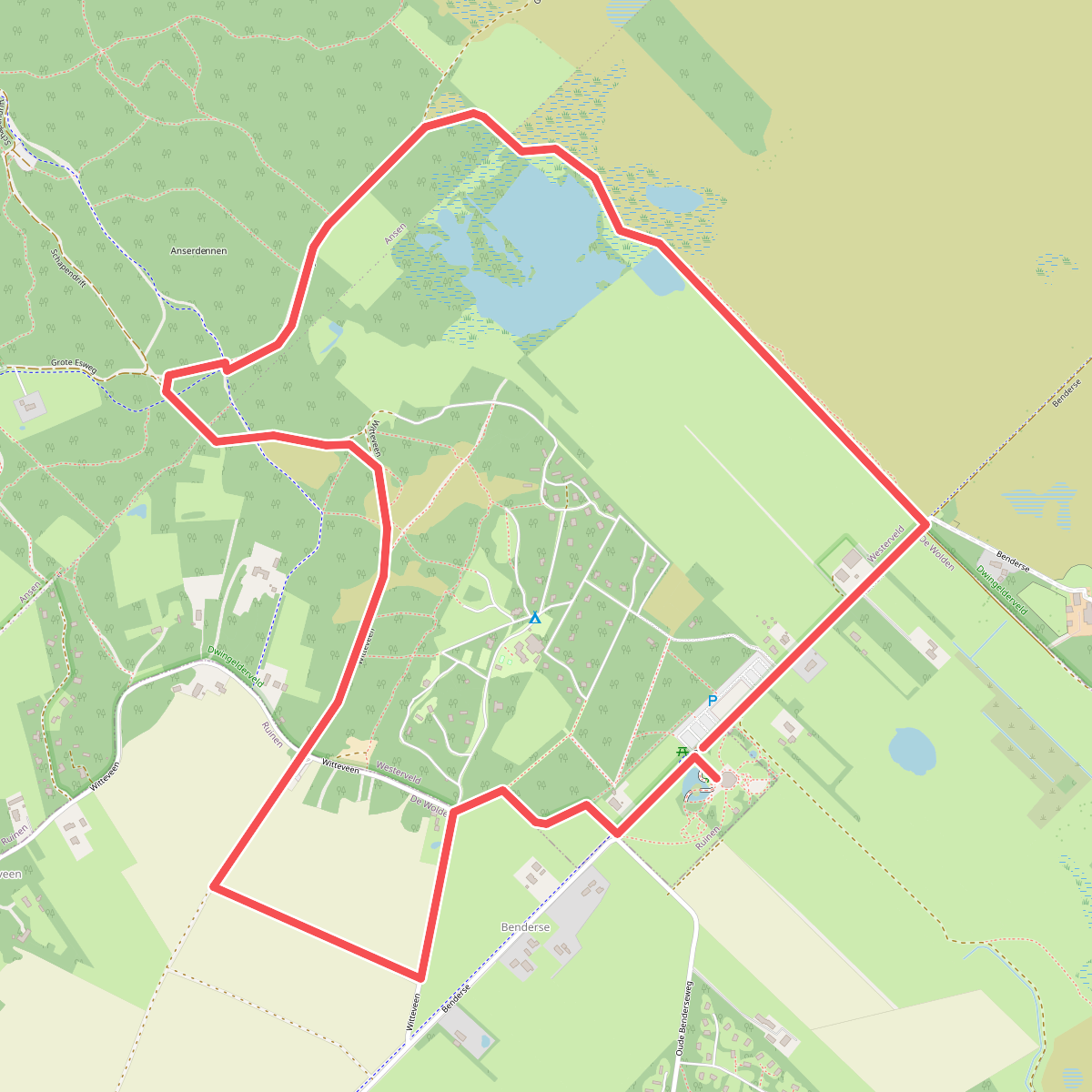 Wandelroute Nationaal Park Dwingelderveld 