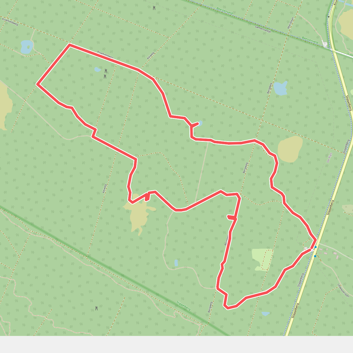 Wandelroute Stippels op de Stippelberg, bij De Rips