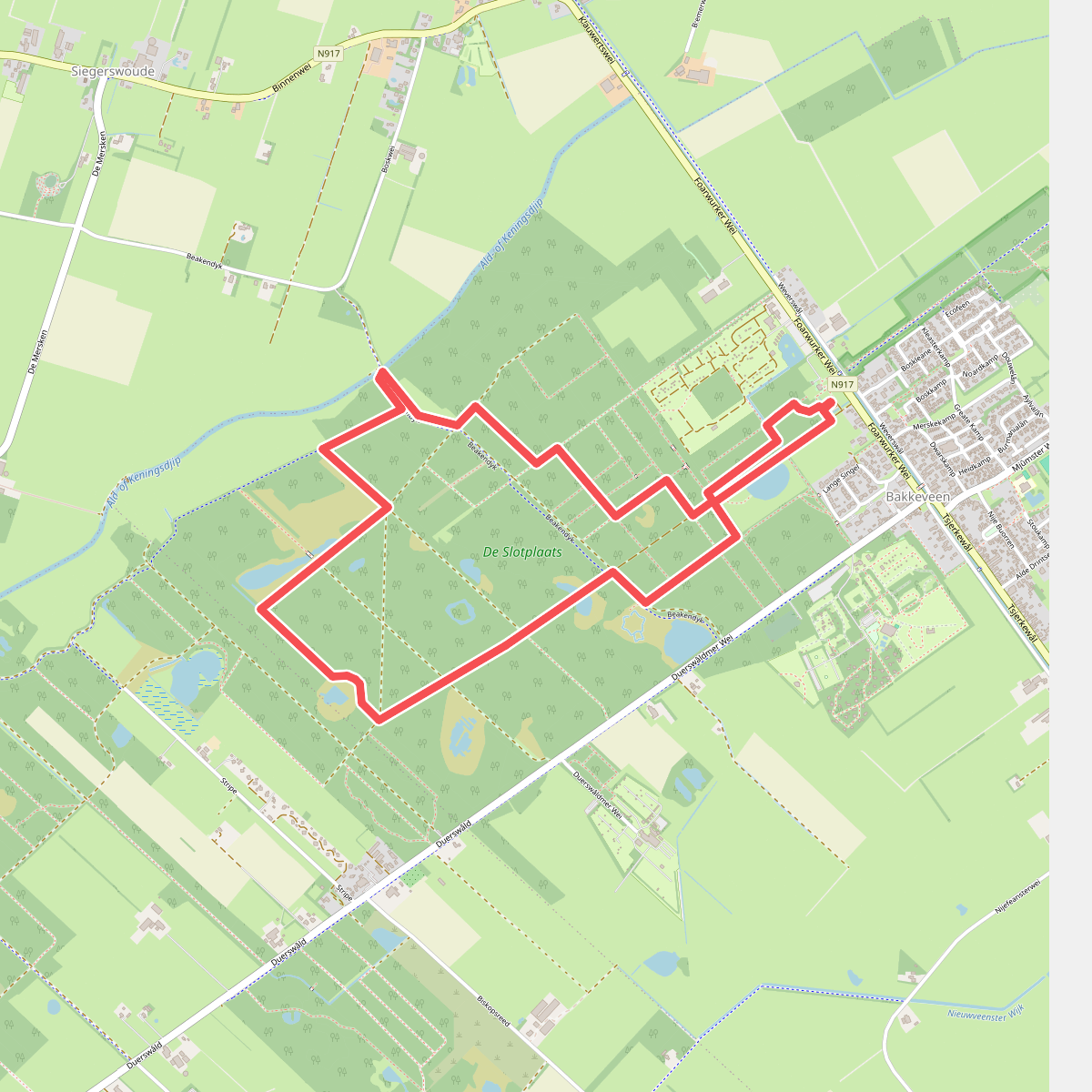 Boswandeling De Slotplaats in Bakkeveen (Friesland)
