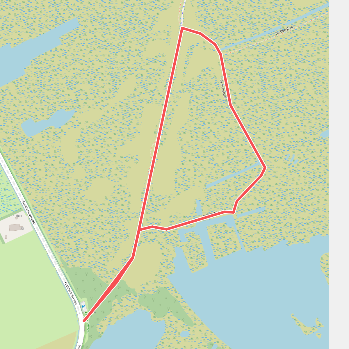 Wollegraswandeling