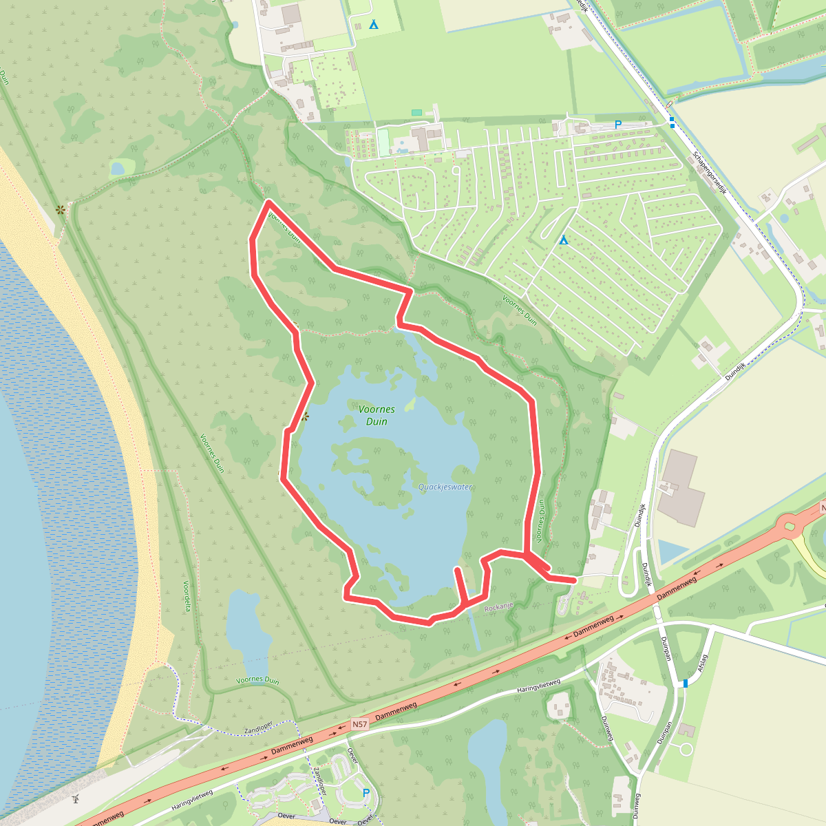 Wandelroute Quackjeswater in Voornes Duin, bij Hellevoetsluis