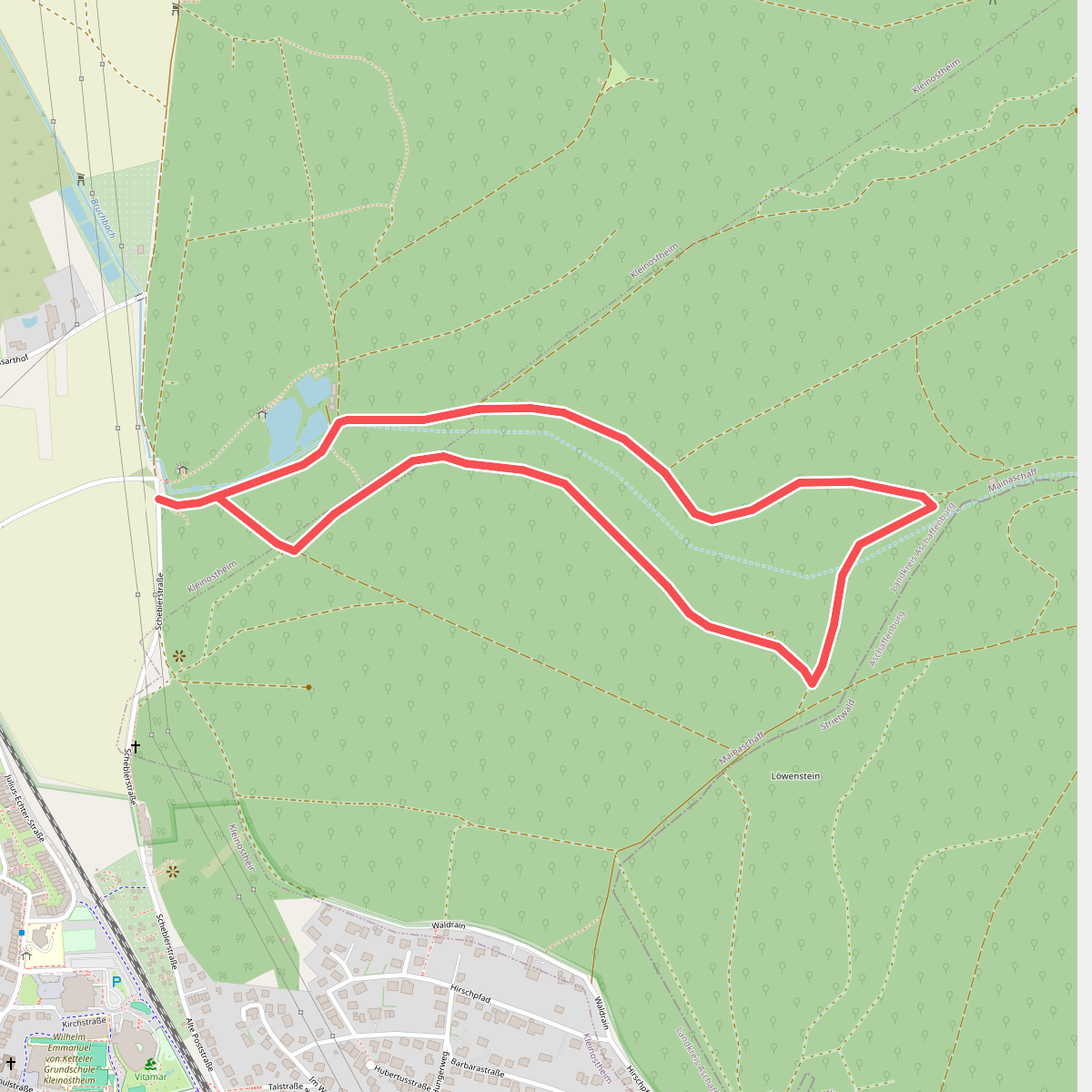 Nordic Walking 1 Blau Kleinostheim
