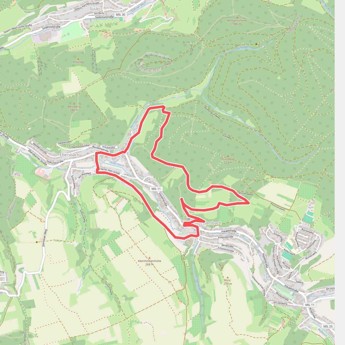 Nordic Walking 1 Blau Leidersbach