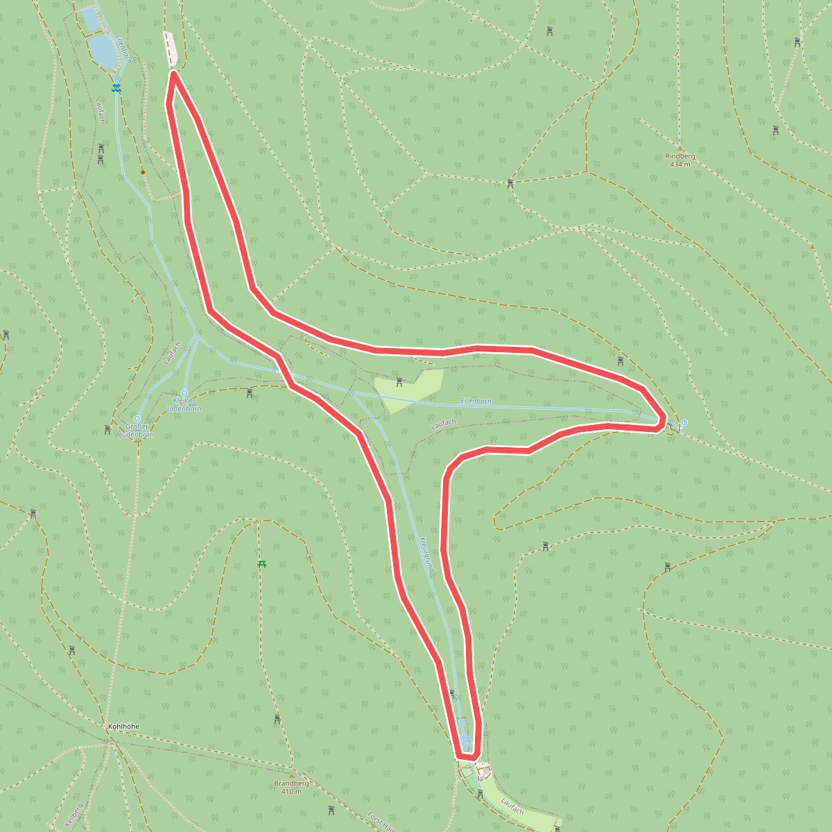 Nordic Walking 1 Blau Laufach