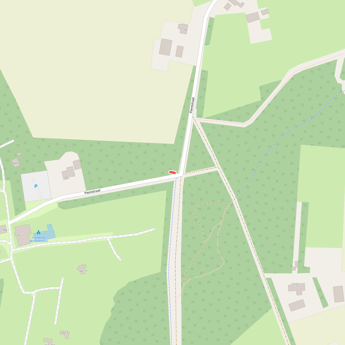 Wandelroute Rucphense Bossen (Rood-wit)