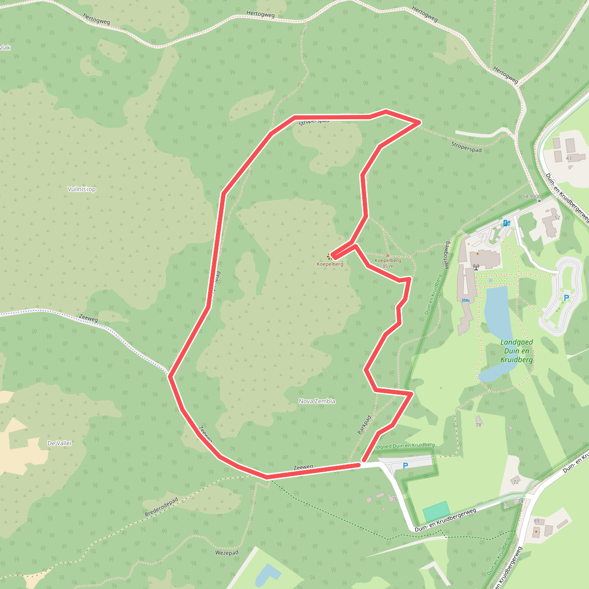 Wandelroute Koepelberg - Landgoed Duin en Kruidberg