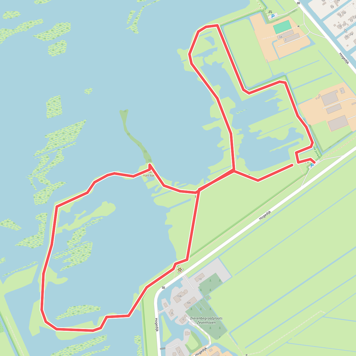 Wandelroute Groene Jonker: vogels